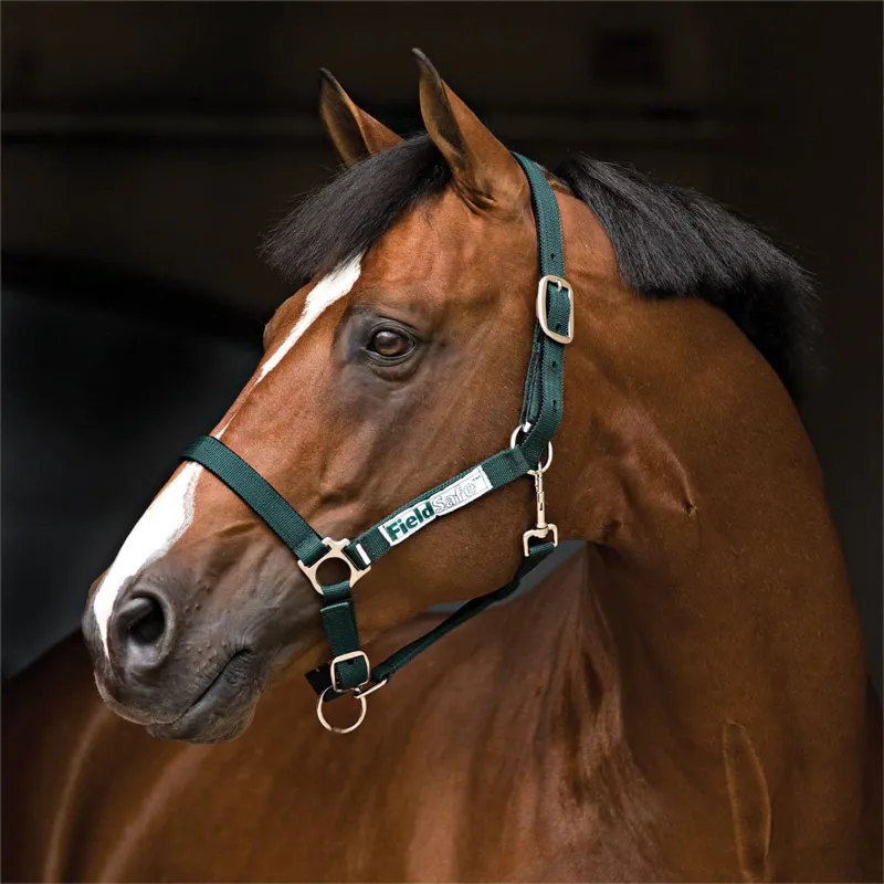 Horseware Field Safe Headcollar - Green